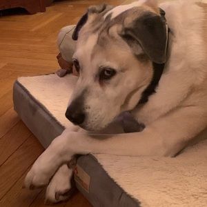 Meet your Posher, Christine